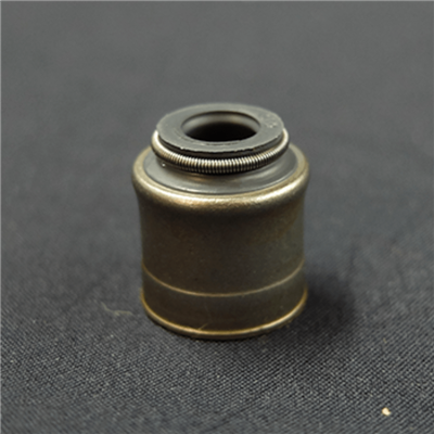 Gumijasto tesnilo stebla ventila